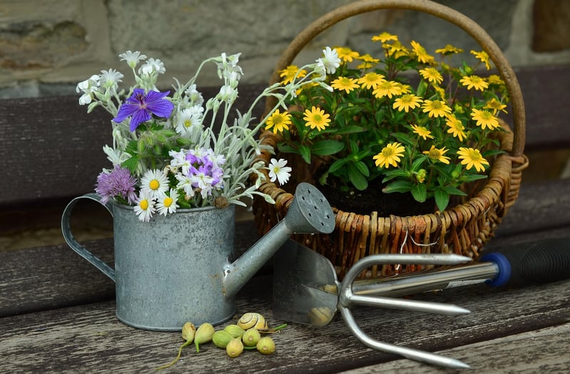 Watering Can